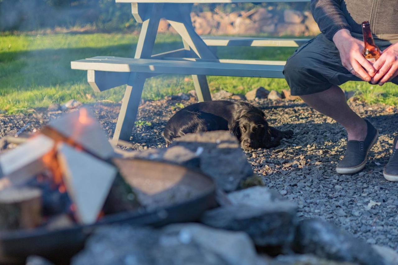 Duneden Belle Glamping Randalstown المظهر الخارجي الصورة